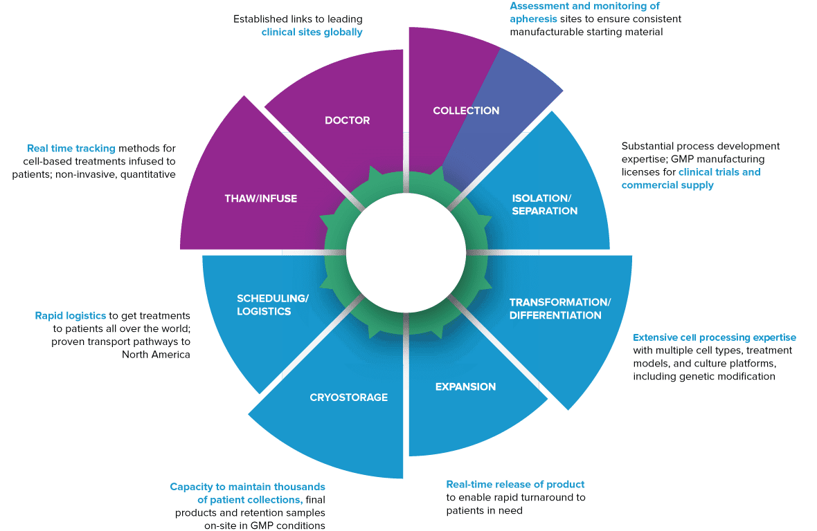 Contract Manufacturing | Cell Therapies