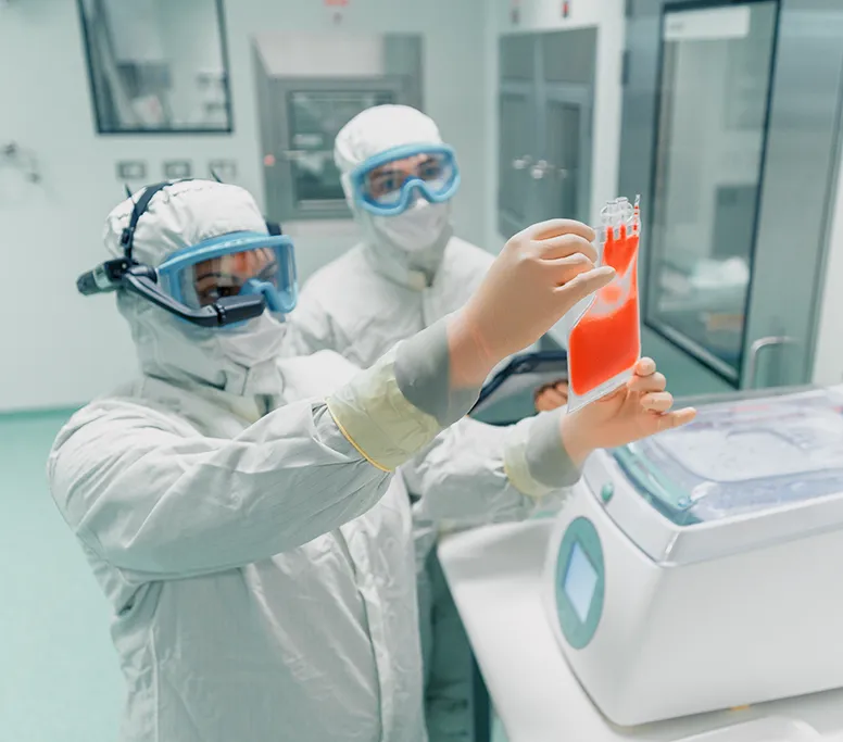 Services 1 Our Services